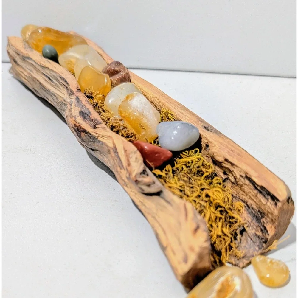 Black Locust Hollow Root Fairy garden or Gemstone Display. 9